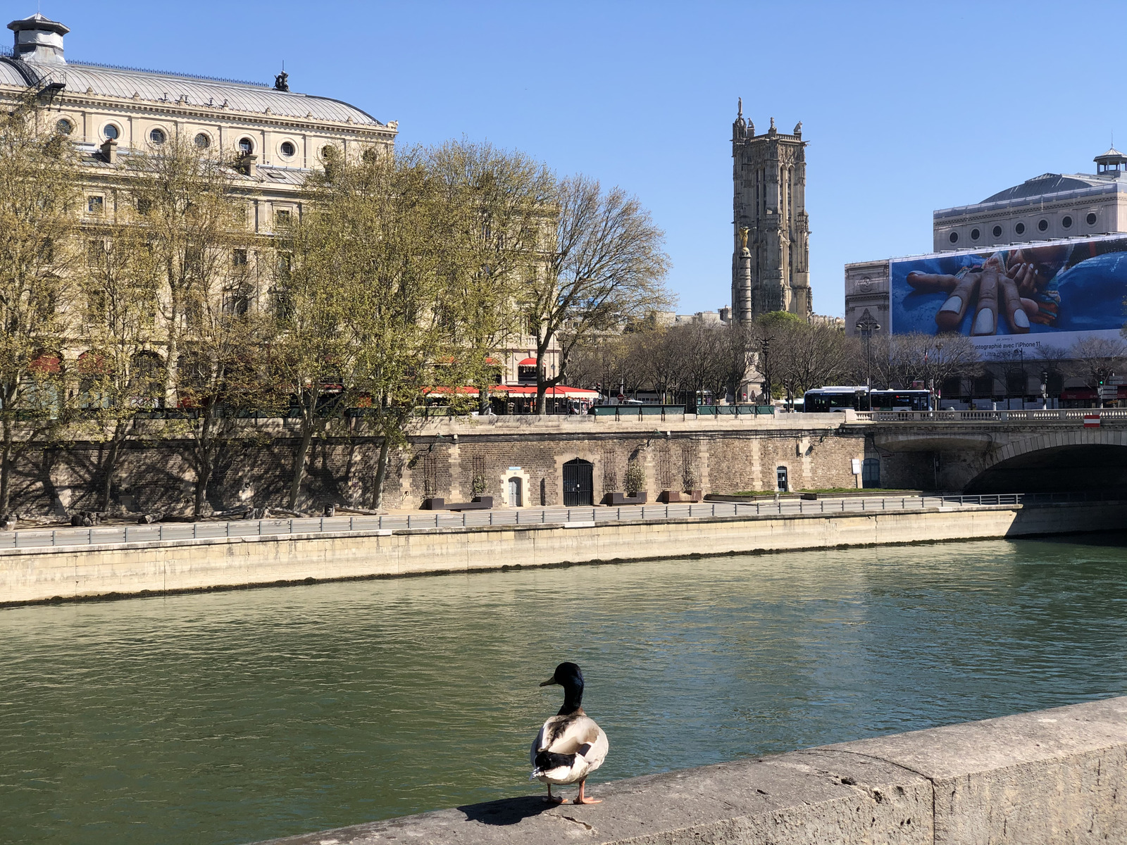 Picture France Paris lockdown 2020-04 173 - Photos Paris lockdown