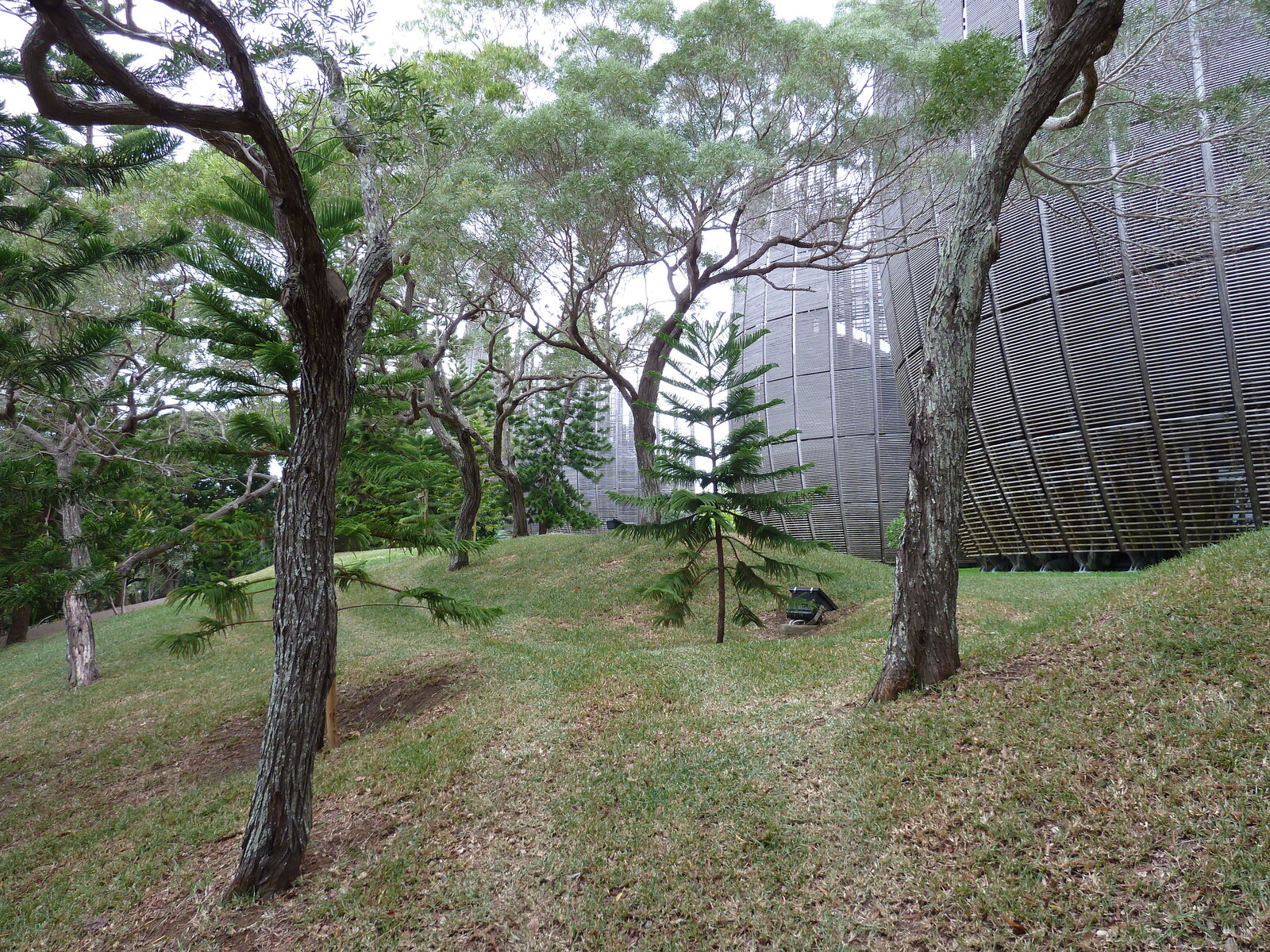 Picture New Caledonia Tjibaou Cultural Centre 2010-05 45 - Picture Tjibaou Cultural Centre