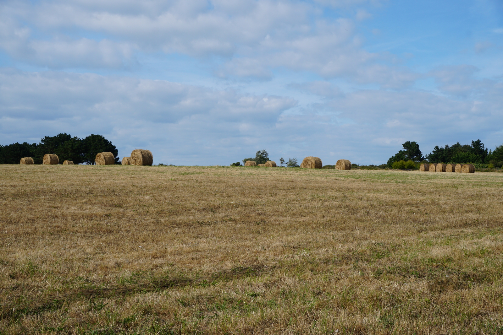 Picture France Belle-Ile 2016-08 200 - Photographer Belle-Ile