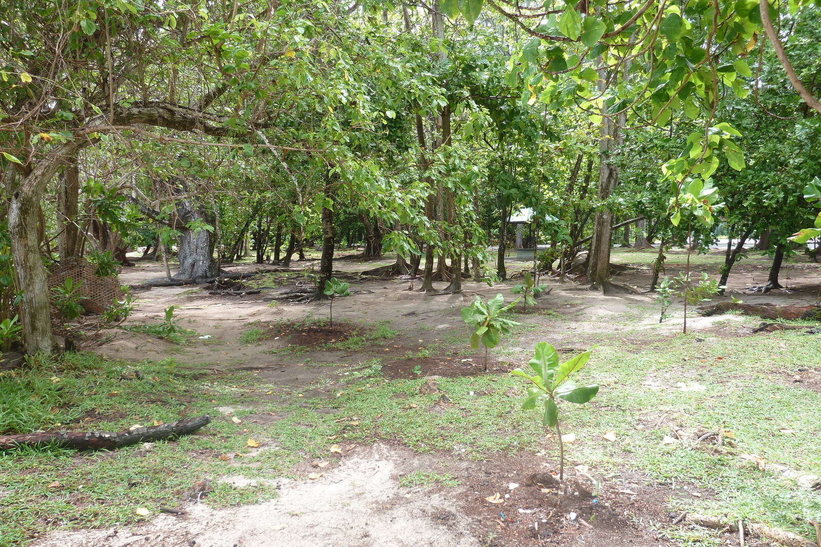 Picture Seychelles Praslin 2011-10 137 - View Praslin