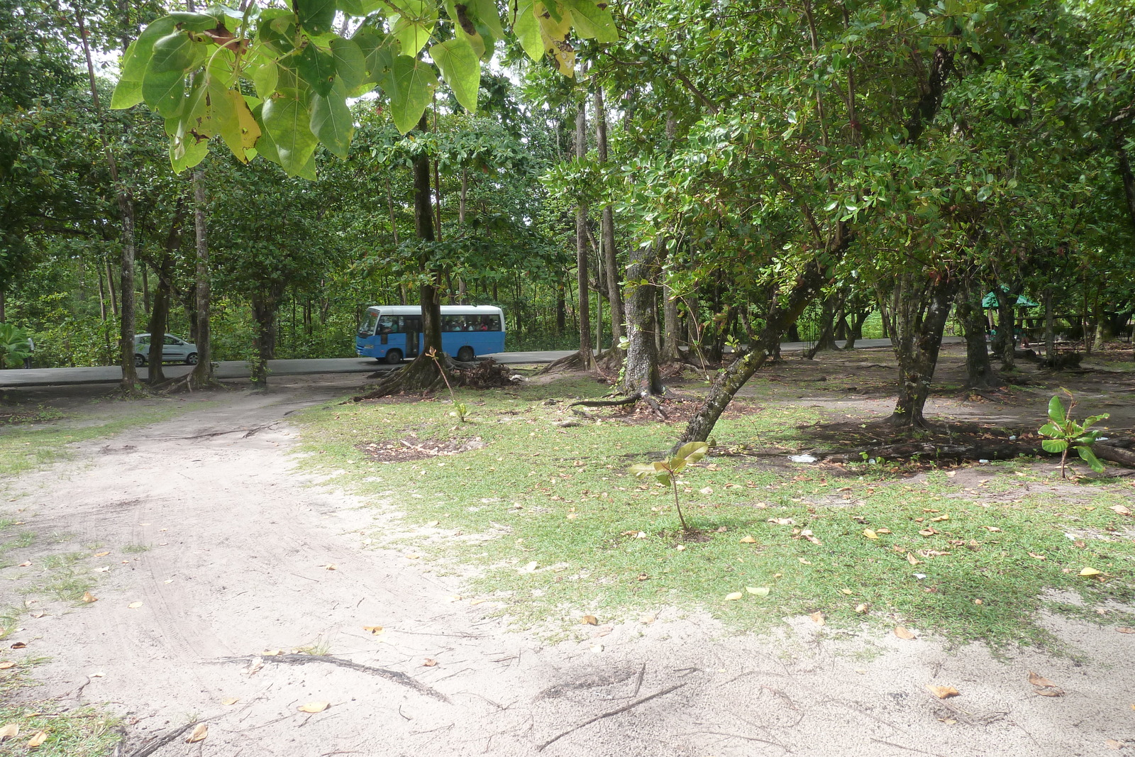 Picture Seychelles Praslin 2011-10 138 - Car Praslin