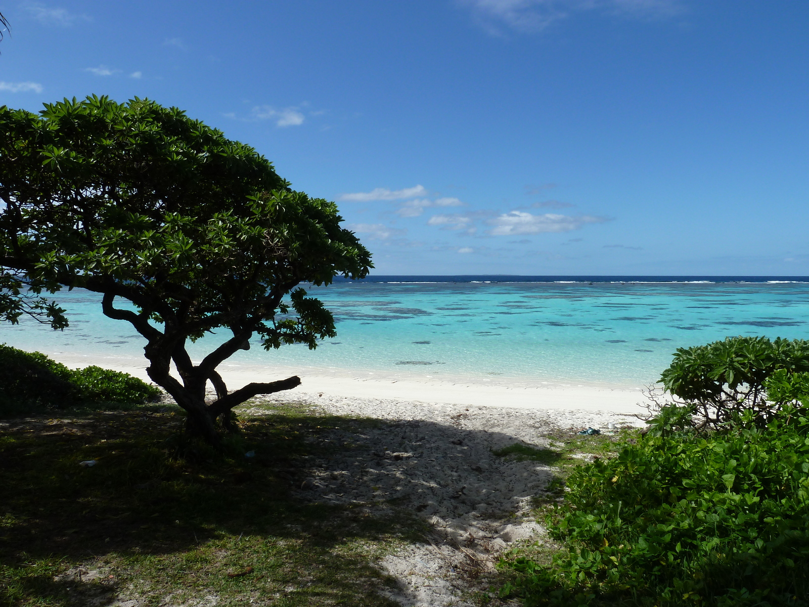 Picture New Caledonia 2010-05 14 - Trail New Caledonia