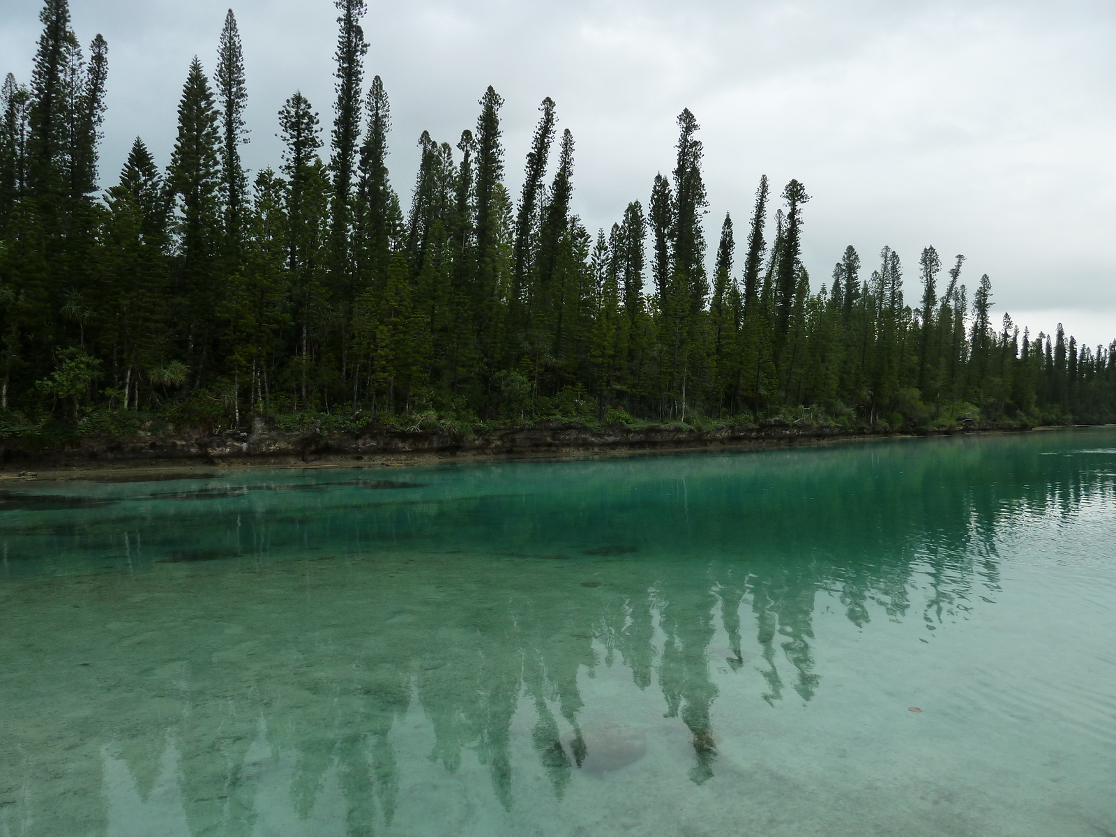 Picture New Caledonia Ile des pins Oro Bay 2010-05 42 - Photographer Oro Bay