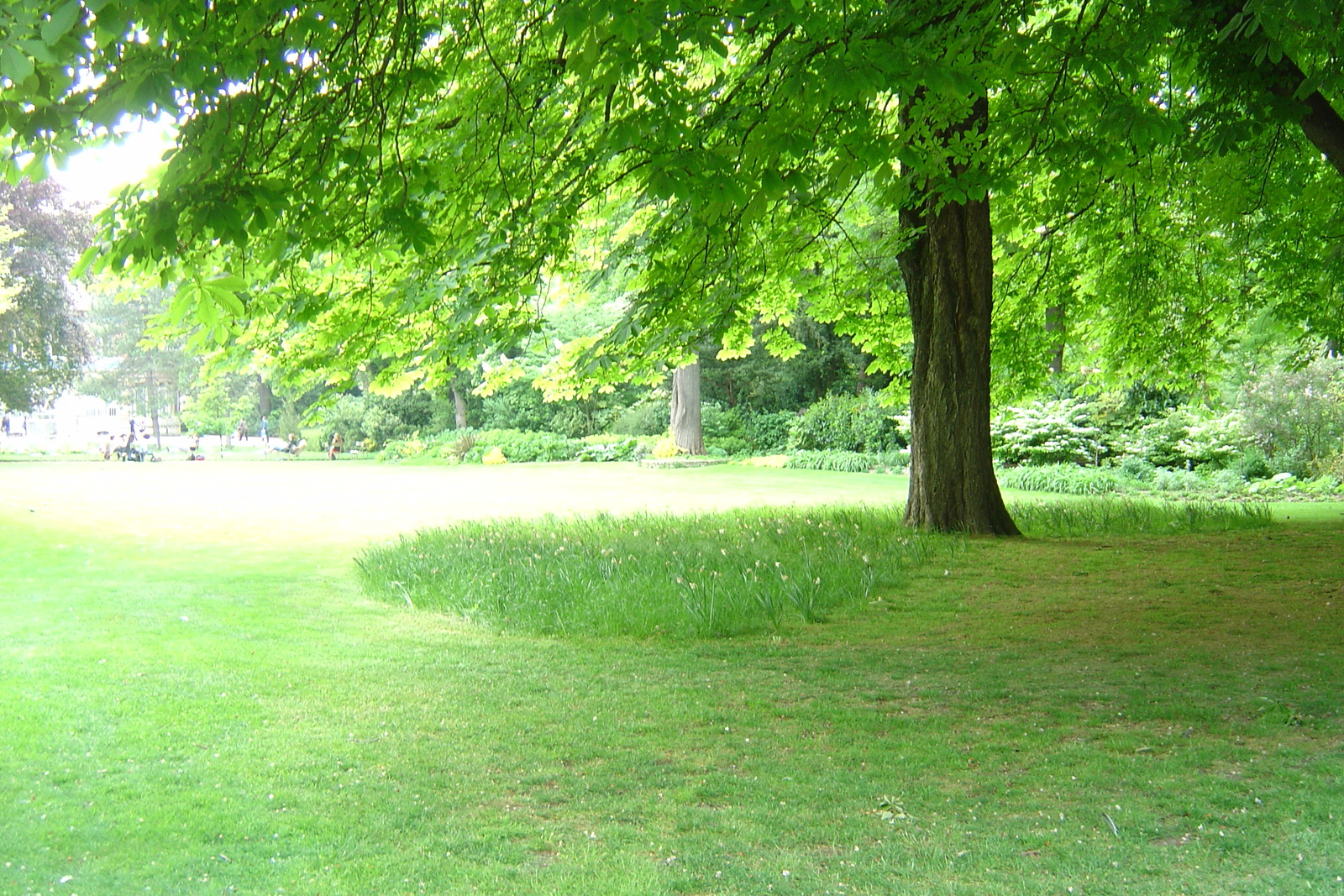 Picture France Paris Luxembourg Garden 2007-04 178 - Pictures Luxembourg Garden