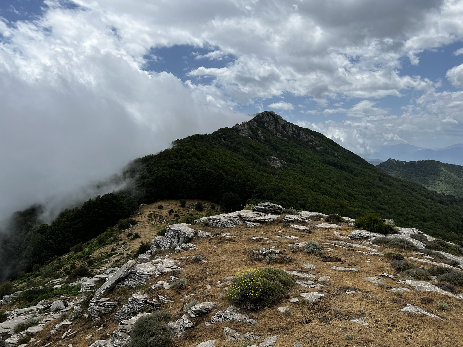 Picture France Corsica Refuge de Callerucciu 2022-06 8 - Photographer Refuge de Callerucciu