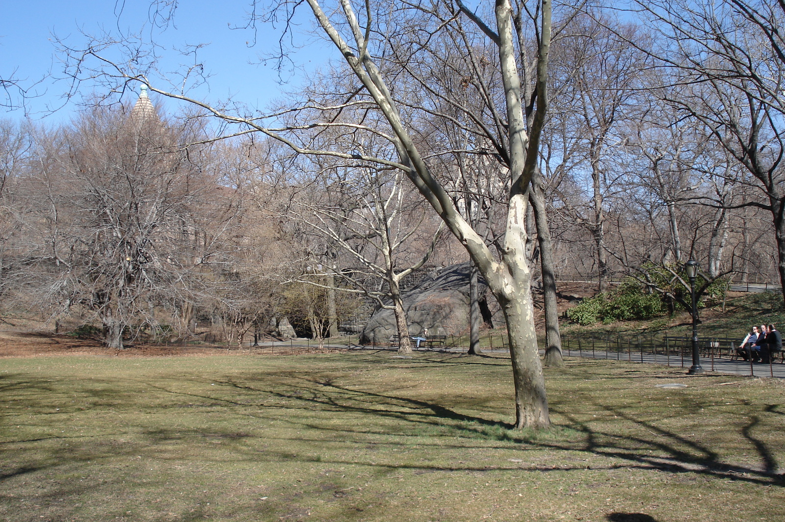 Picture United States New York Central Park 2006-03 50 - View Central Park