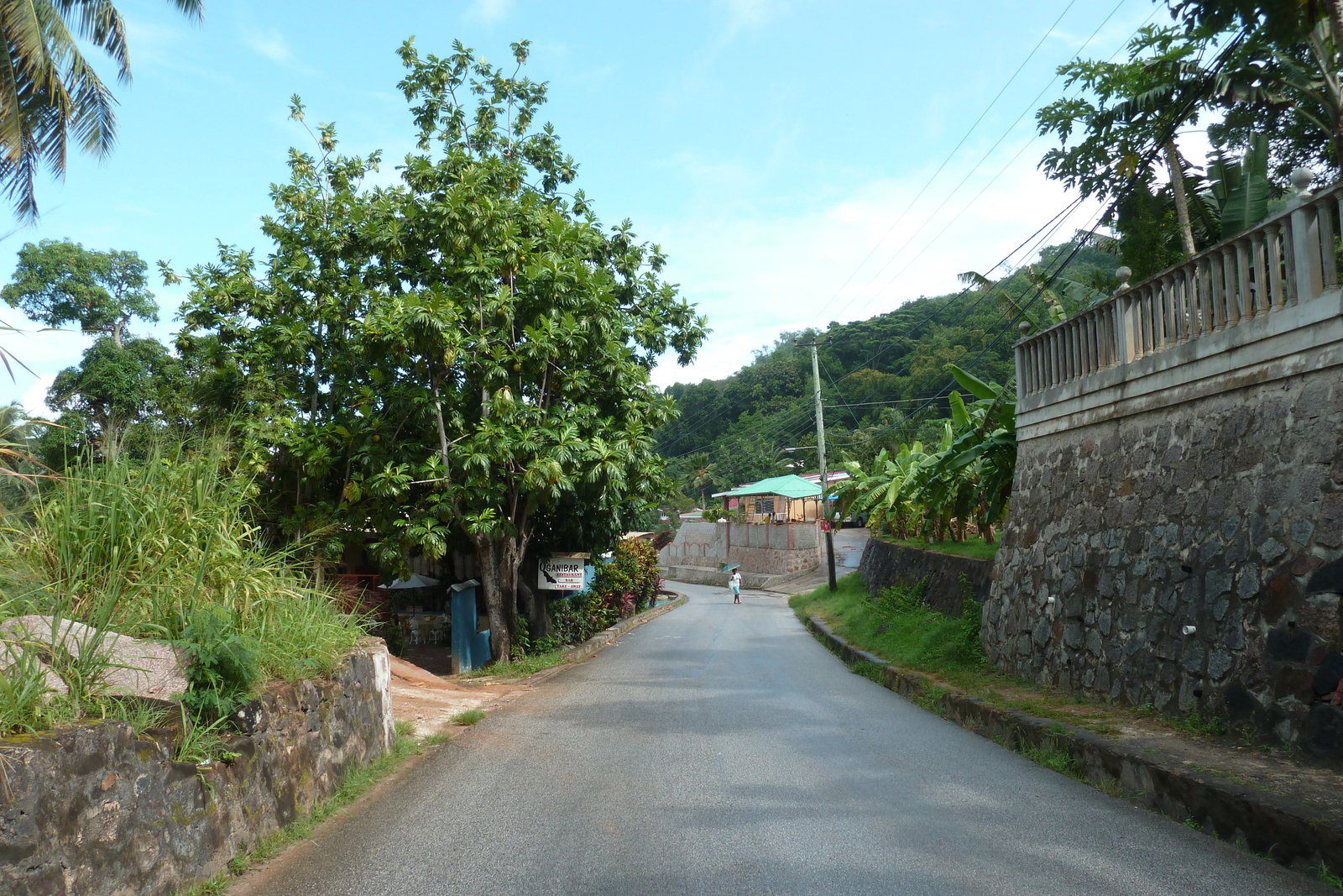 Picture Seychelles Praslin 2011-10 140 - Discover Praslin