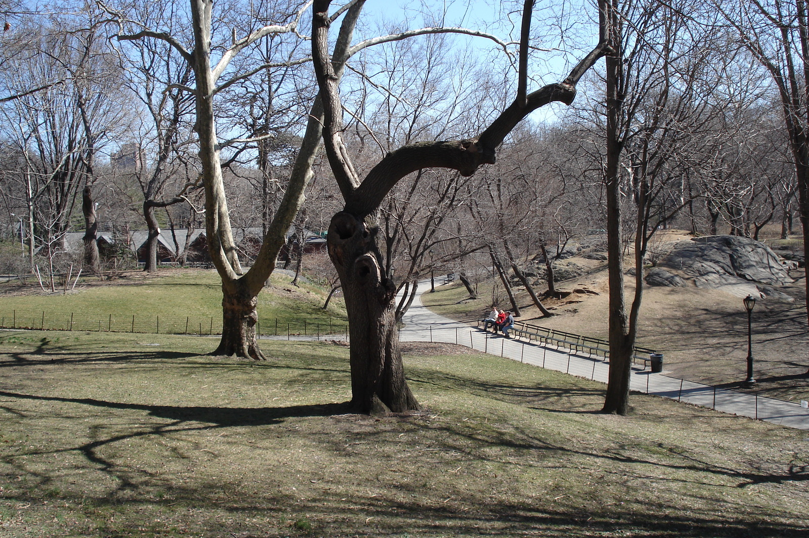 Picture United States New York Central Park 2006-03 16 - Views Central Park