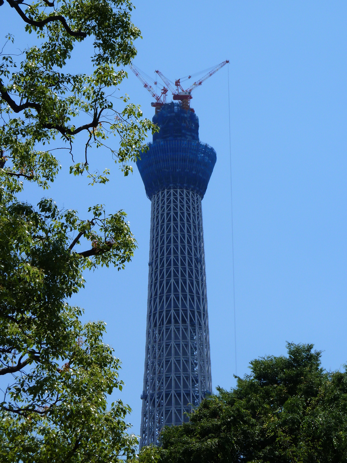 Picture Japan Tokyo Sumida 2010-06 35 - Journey Sumida