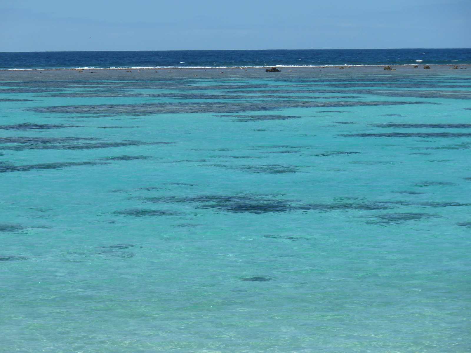 Picture New Caledonia Lifou Mu 2010-05 28 - Photographer Mu