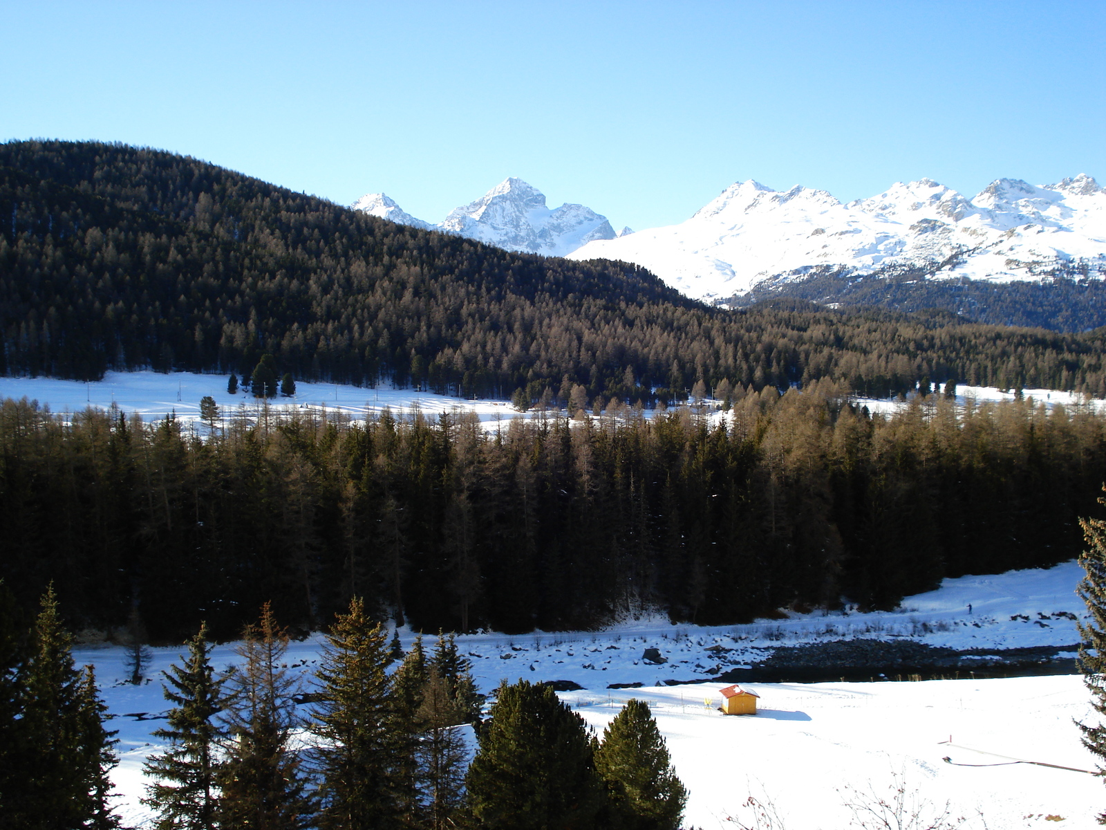 Picture Swiss Pontresina 2007-01 84 - View Pontresina