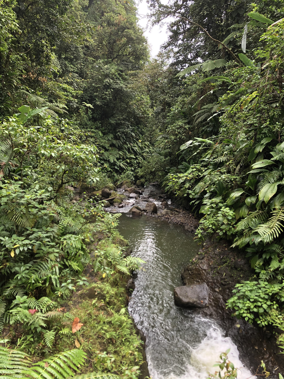 Picture Guadeloupe Carbet Falls 2021-02 0 - Perspective Carbet Falls