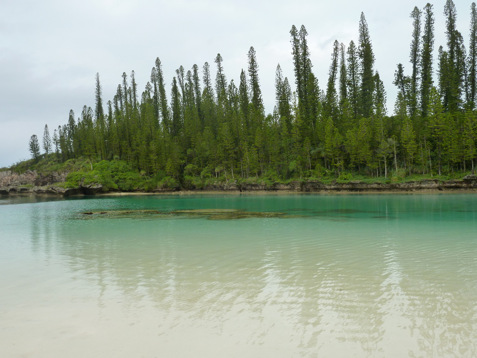 Picture New Caledonia Ile des pins Oro Bay 2010-05 66 - Picture Oro Bay