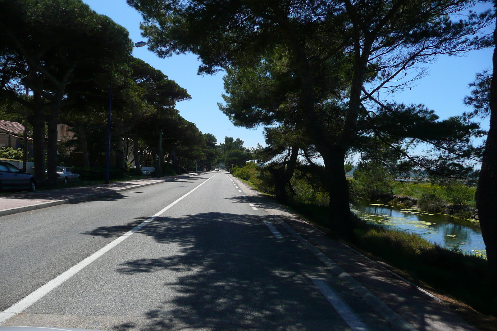 Picture France French Riviera Hyeres peninsula 2008-05 17 - Discover Hyeres peninsula