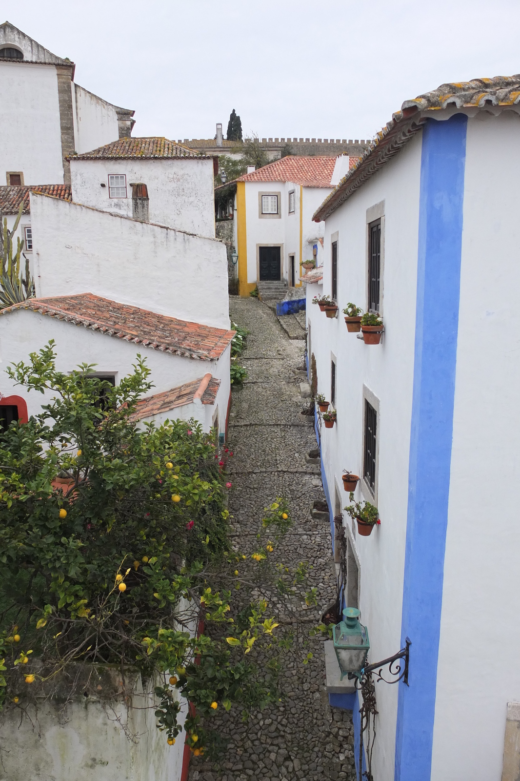 Picture Portugal Obidos 2013-01 68 - Photographer Obidos