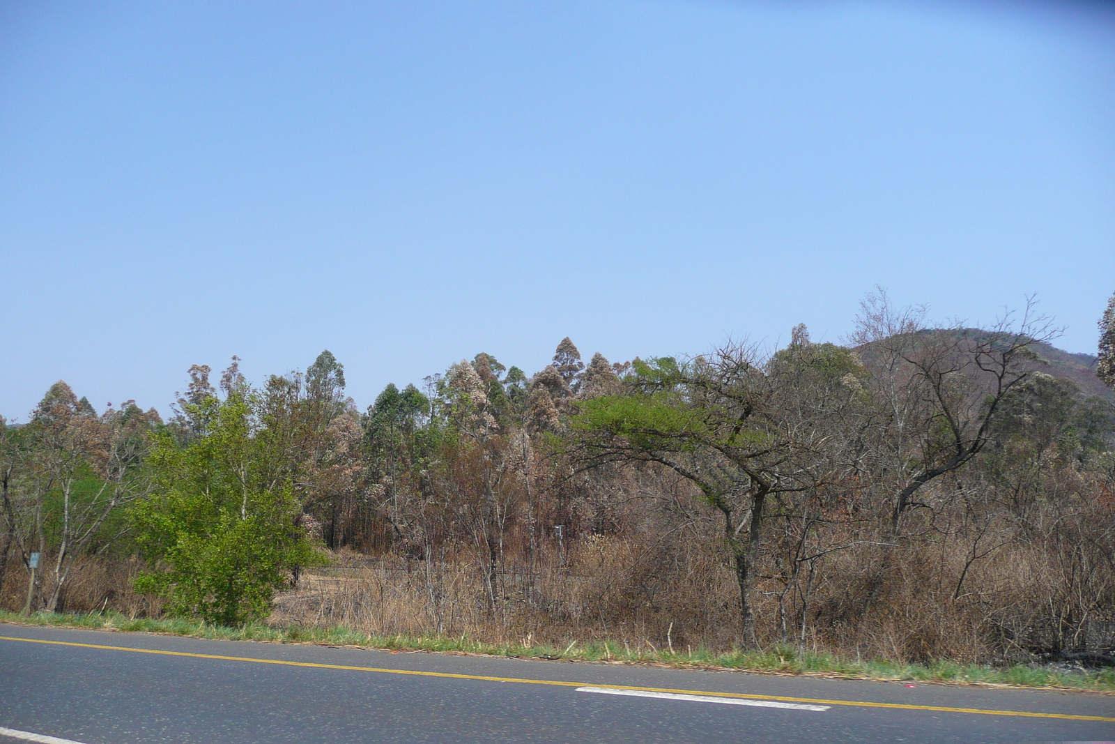 Picture South Africa Nelspruit to Johannesburg road 2008-09 98 - Pictures Nelspruit to Johannesburg road