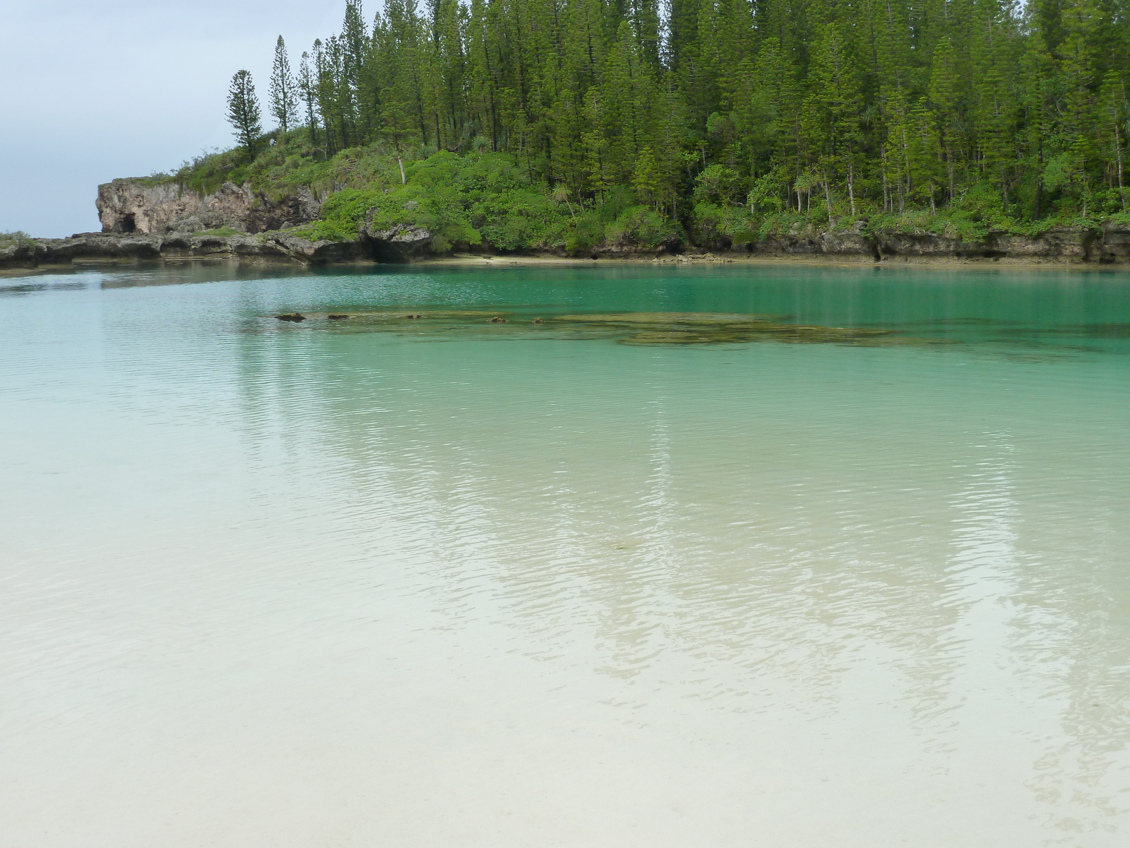 Picture New Caledonia 2010-05 41 - Photographer New Caledonia