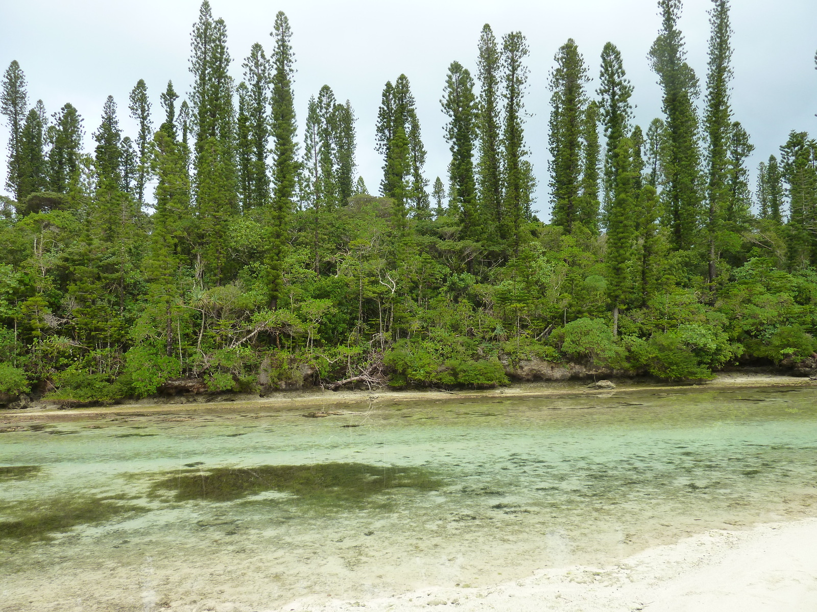 Picture New Caledonia Ile des pins Oro Bay 2010-05 53 - Trail Oro Bay