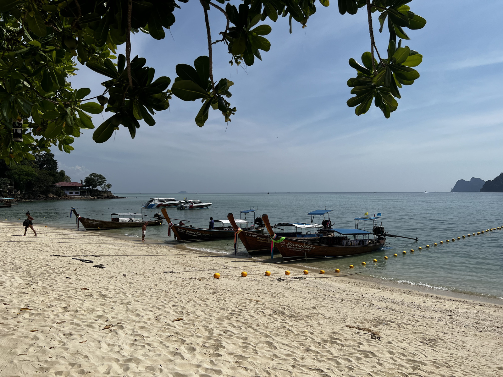 Picture Thailand Ko Phi Phi Don 2021-12 59 - Sight Ko Phi Phi Don