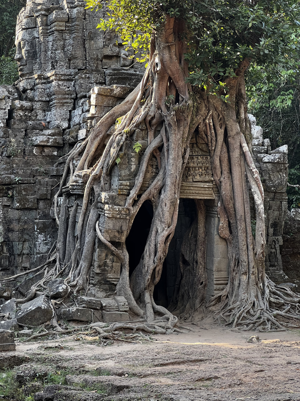 Picture Cambodia Siem Reap Ta Som 2023-01 14 - Trips Ta Som