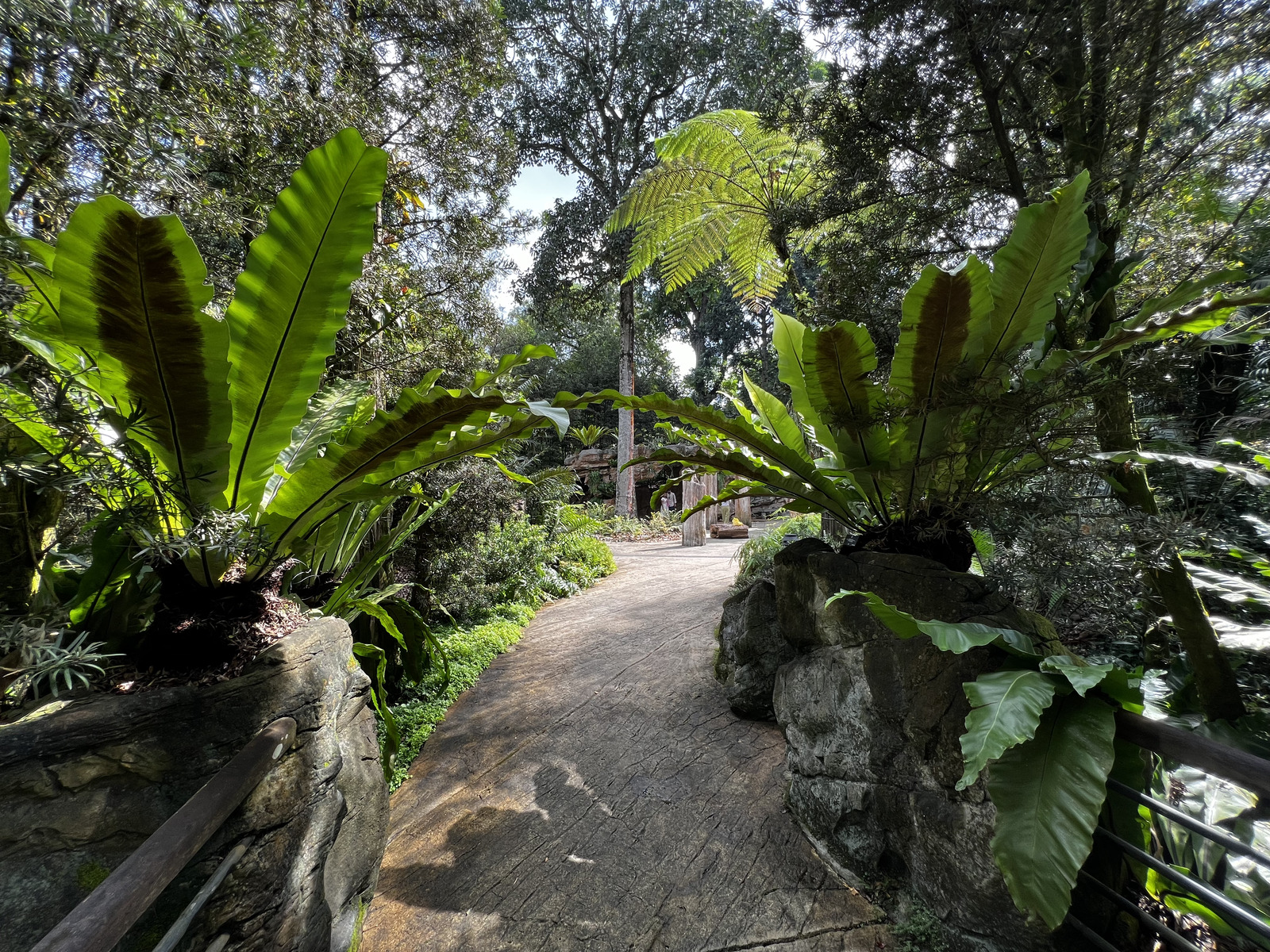 Picture Singapore Singapore Botanic Gardens 2023-01 66 - Road Map Singapore Botanic Gardens