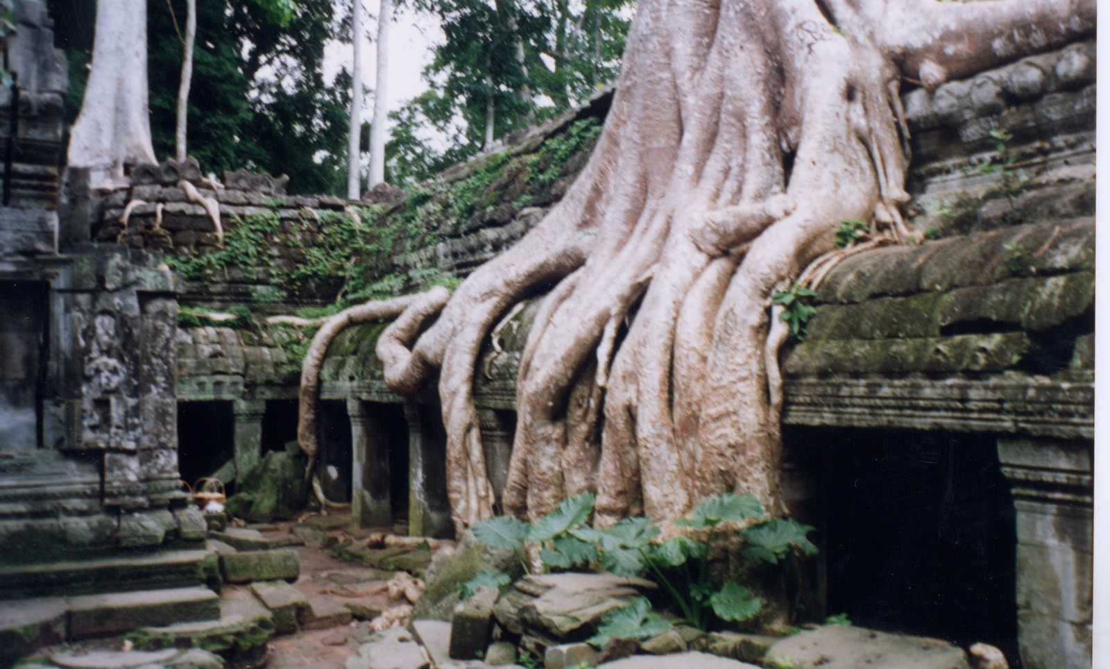 Picture Cambodia Angkor 1996-06 37 - Visit Angkor