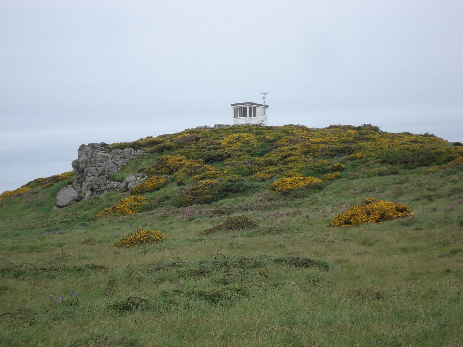 Picture United Kingdom Pembrokeshire Martins Havens 2006-05 7 - Photographers Martins Havens