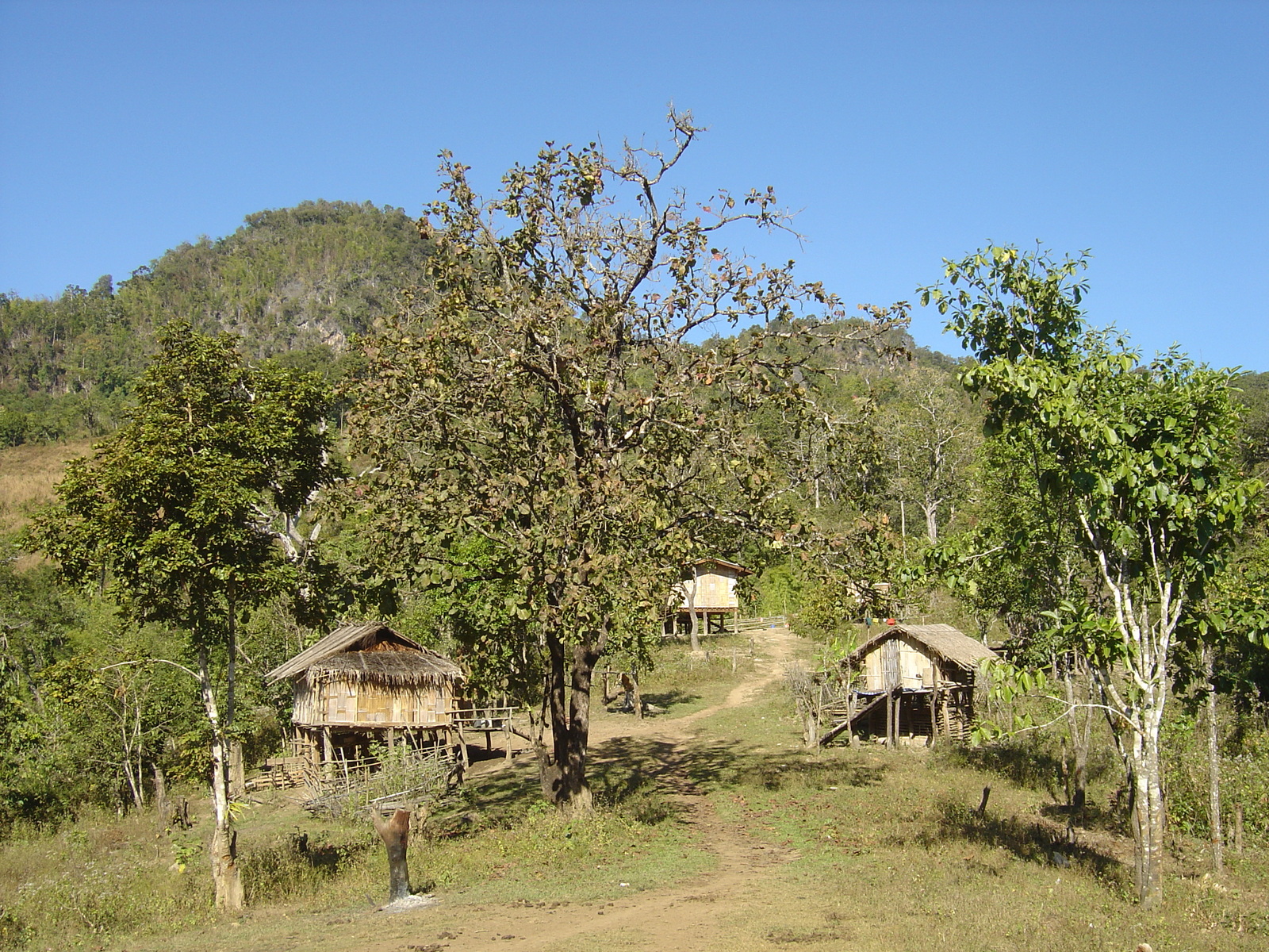 Picture Thailand Pang ma pha 2005-12 212 - Photos Pang ma pha