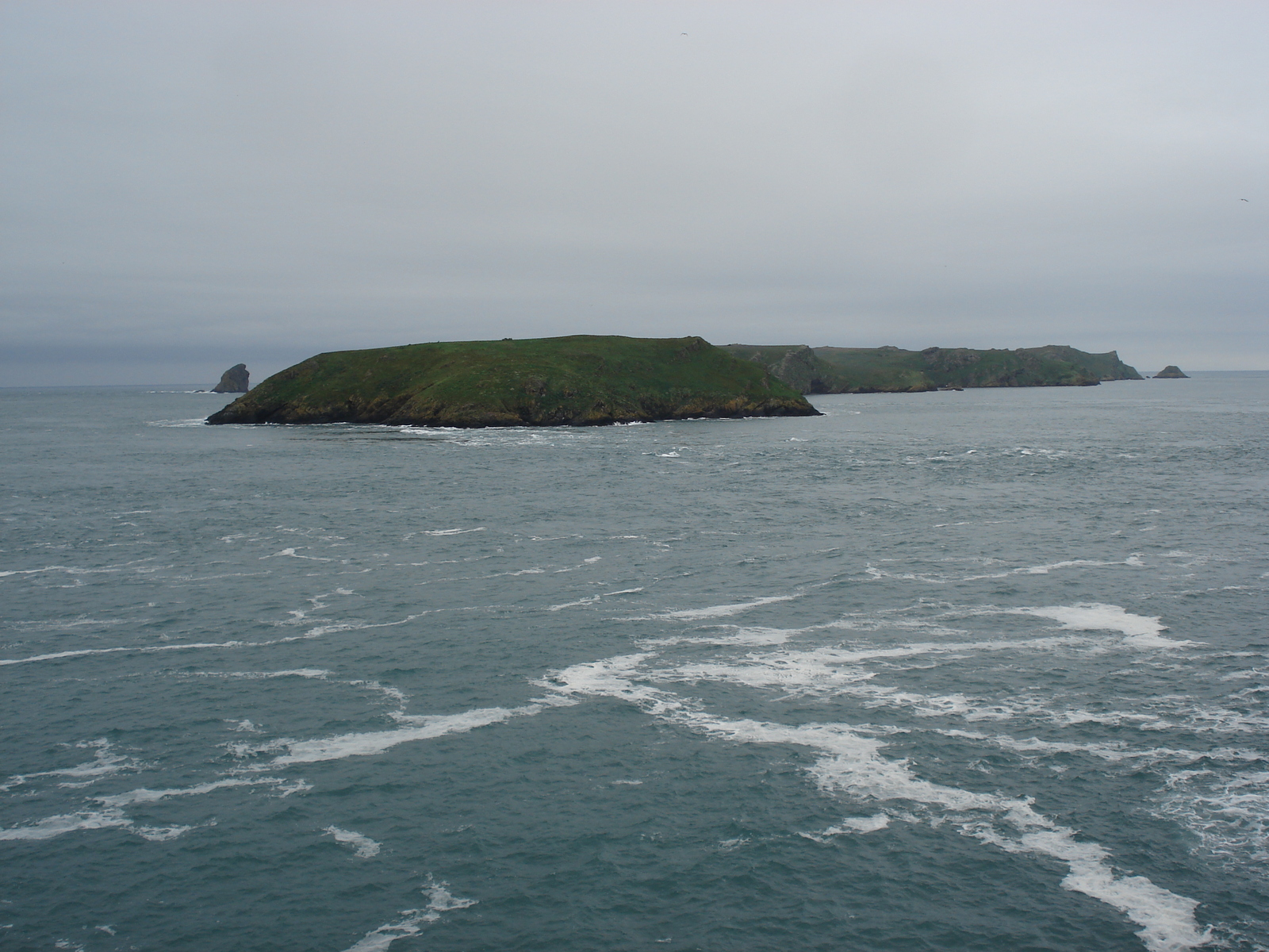 Picture United Kingdom Pembrokeshire Martins Havens 2006-05 2 - Photos Martins Havens