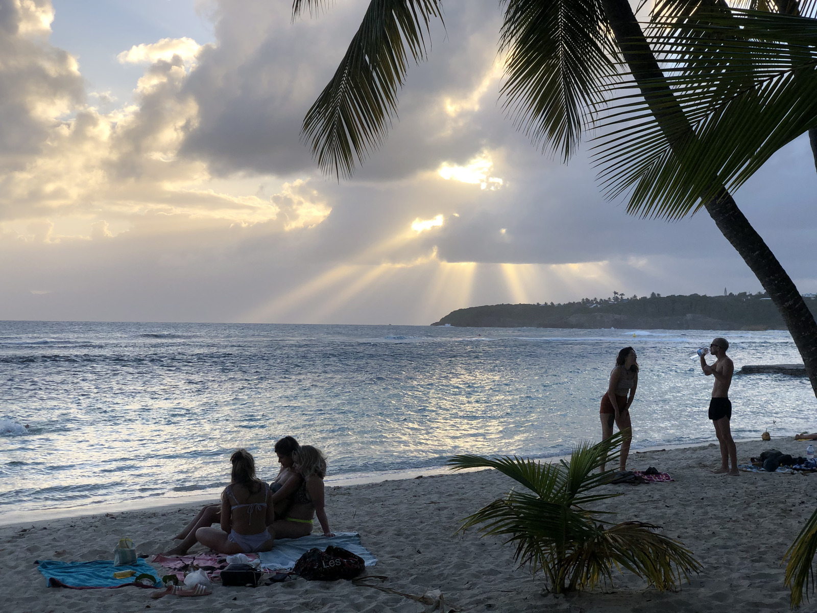 Picture Guadeloupe Sainte Anne 2021-02 73 - Trail Sainte Anne