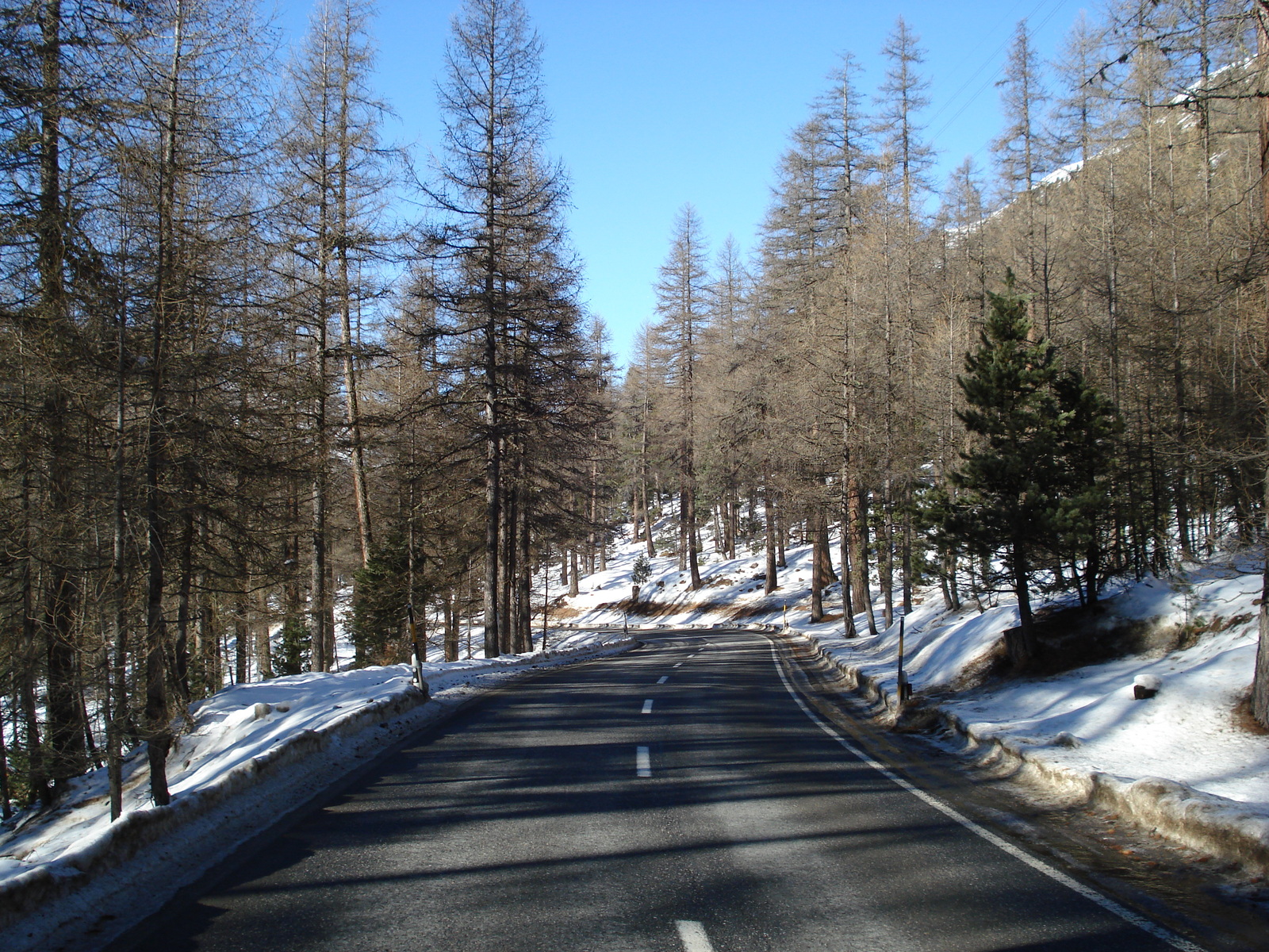 Picture Swiss From Pontresina to Lago Bianco 2007-01 74 - Sight From Pontresina to Lago Bianco