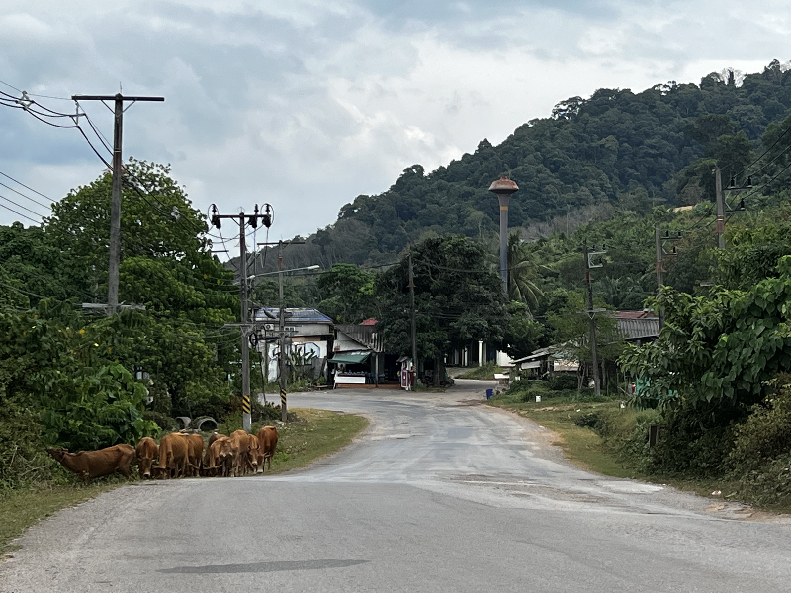 Picture Thailand Ko Lanta 2023-01 154 - Sight Ko Lanta