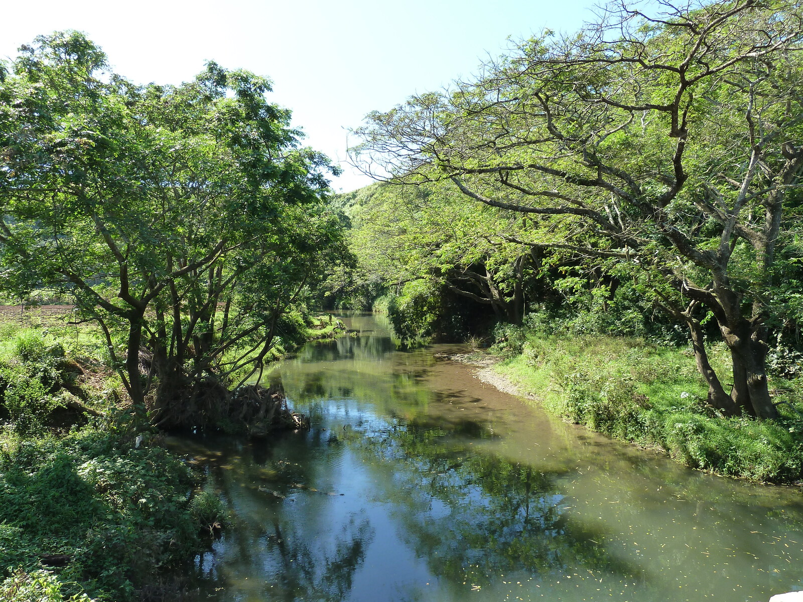 Picture Fiji Sigatoka river 2010-05 65 - Sight Sigatoka river