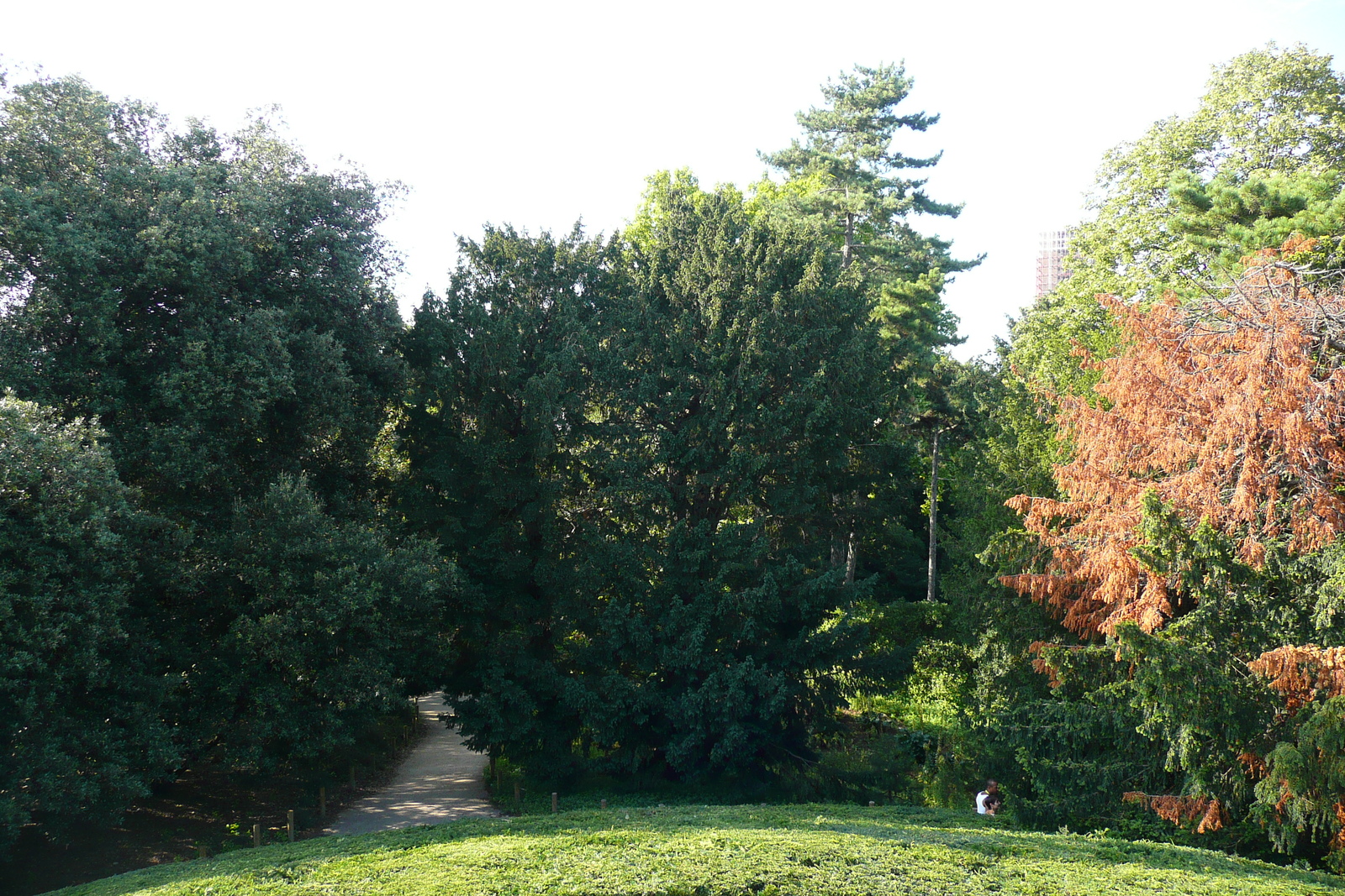 Picture France Paris Jardin des Plantes 2007-08 30 - Flights Jardin des Plantes