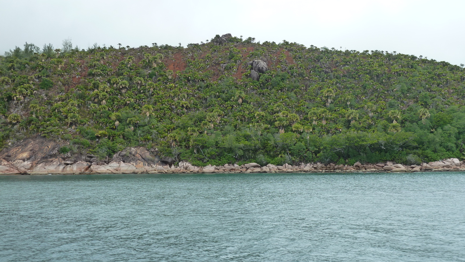 Picture Seychelles Anse Possession 2011-10 86 - Travels Anse Possession