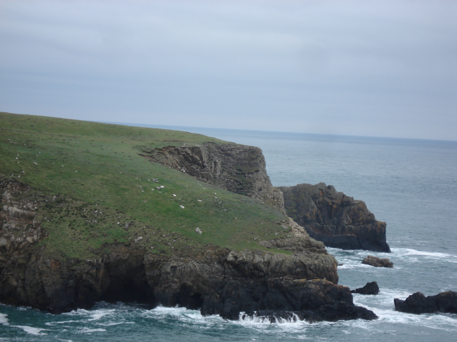 Picture United Kingdom Pembrokeshire Martins Havens 2006-05 3 - Pictures Martins Havens