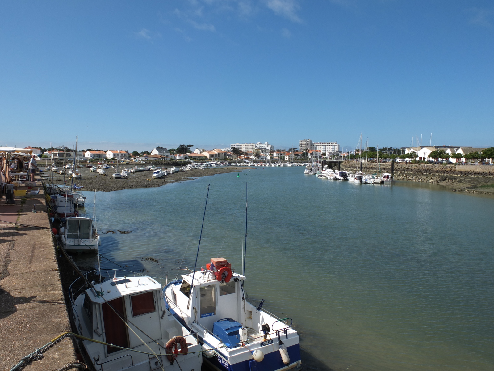 Picture France Saint Gilles Croix de Vie 2012-07 7 - Flight Saint Gilles Croix de Vie