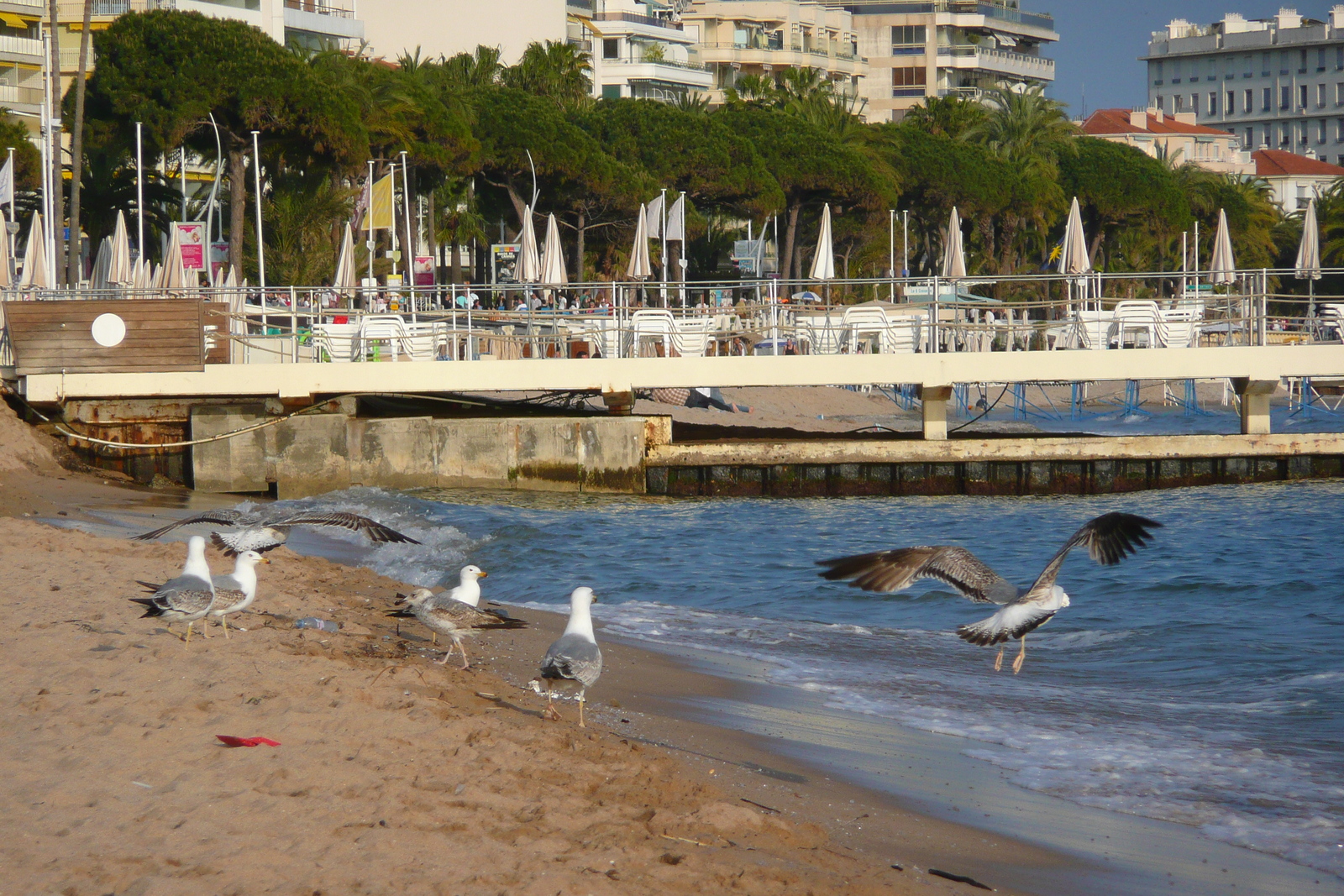 Picture France Cannes Beach 2008-04 38 - Pictures Beach