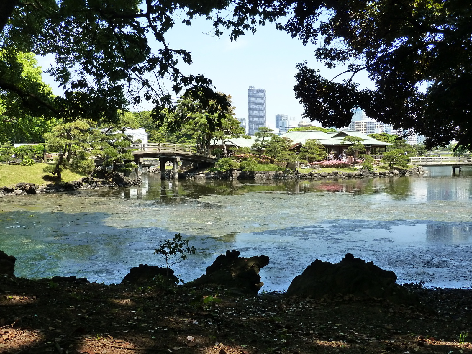 Picture Japan Tokyo Hama rikyu Gardens 2010-06 91 - Photos Hama rikyu Gardens