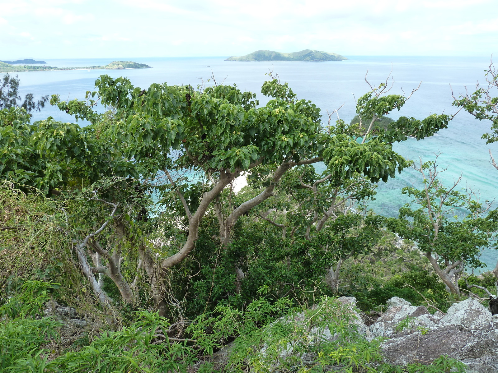 Picture Fiji Castaway Island 2010-05 74 - Discover Castaway Island