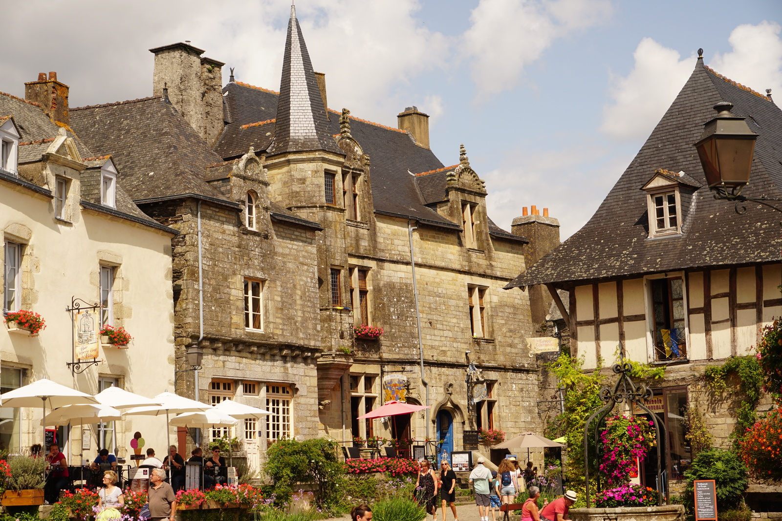 Picture France Rochefort-en-Terre 2017-08 53 - Flight Rochefort-en-Terre