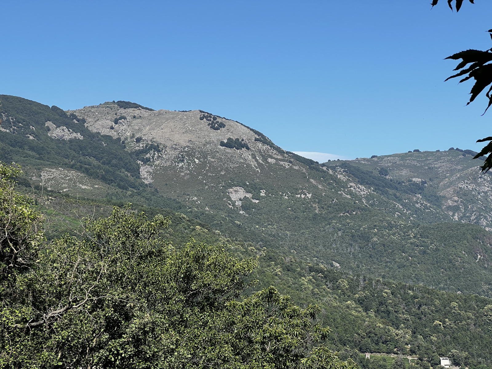 Picture France Corsica Refuge de Callerucciu 2022-06 15 - Road Refuge de Callerucciu