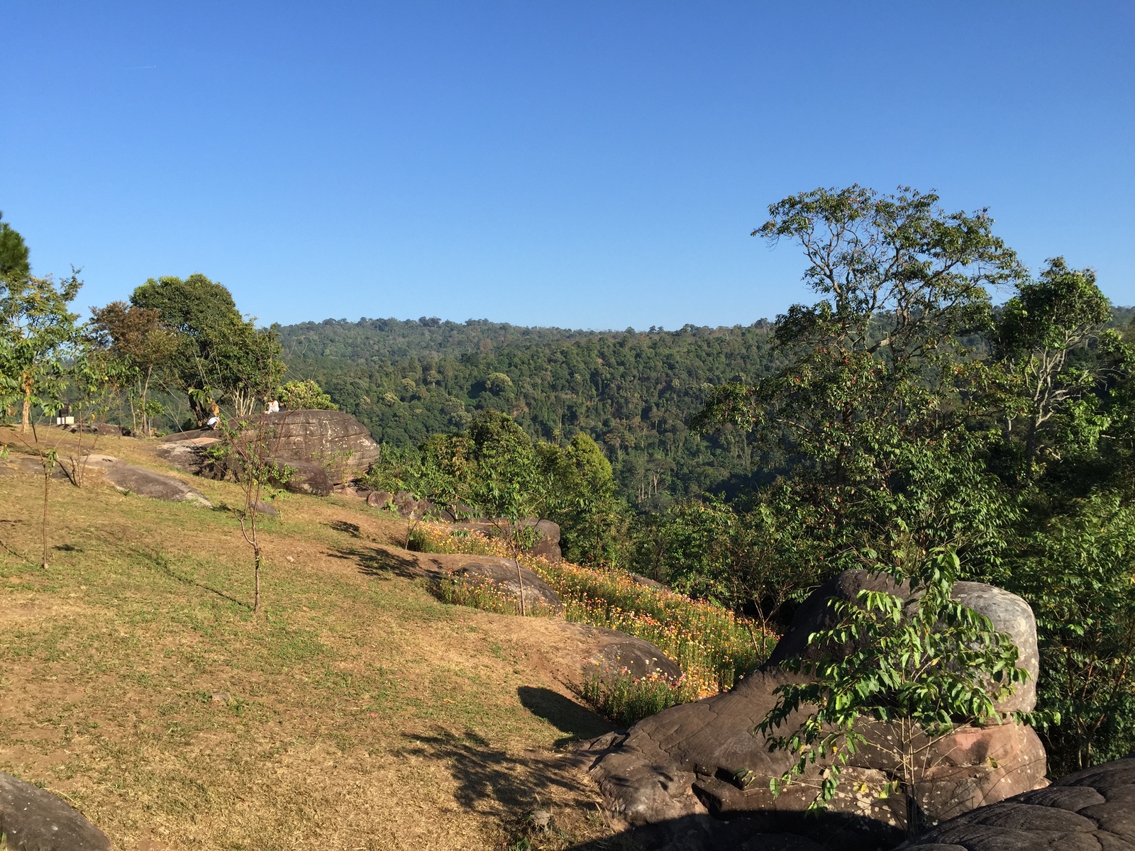 Picture Thailand Phu Hin Rong Kla National Park 2014-12 183 - Randonee Phu Hin Rong Kla National Park