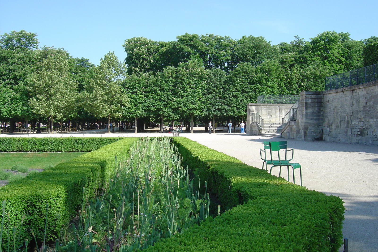 Picture France Paris Garden of Tuileries 2007-05 224 - Travel Garden of Tuileries