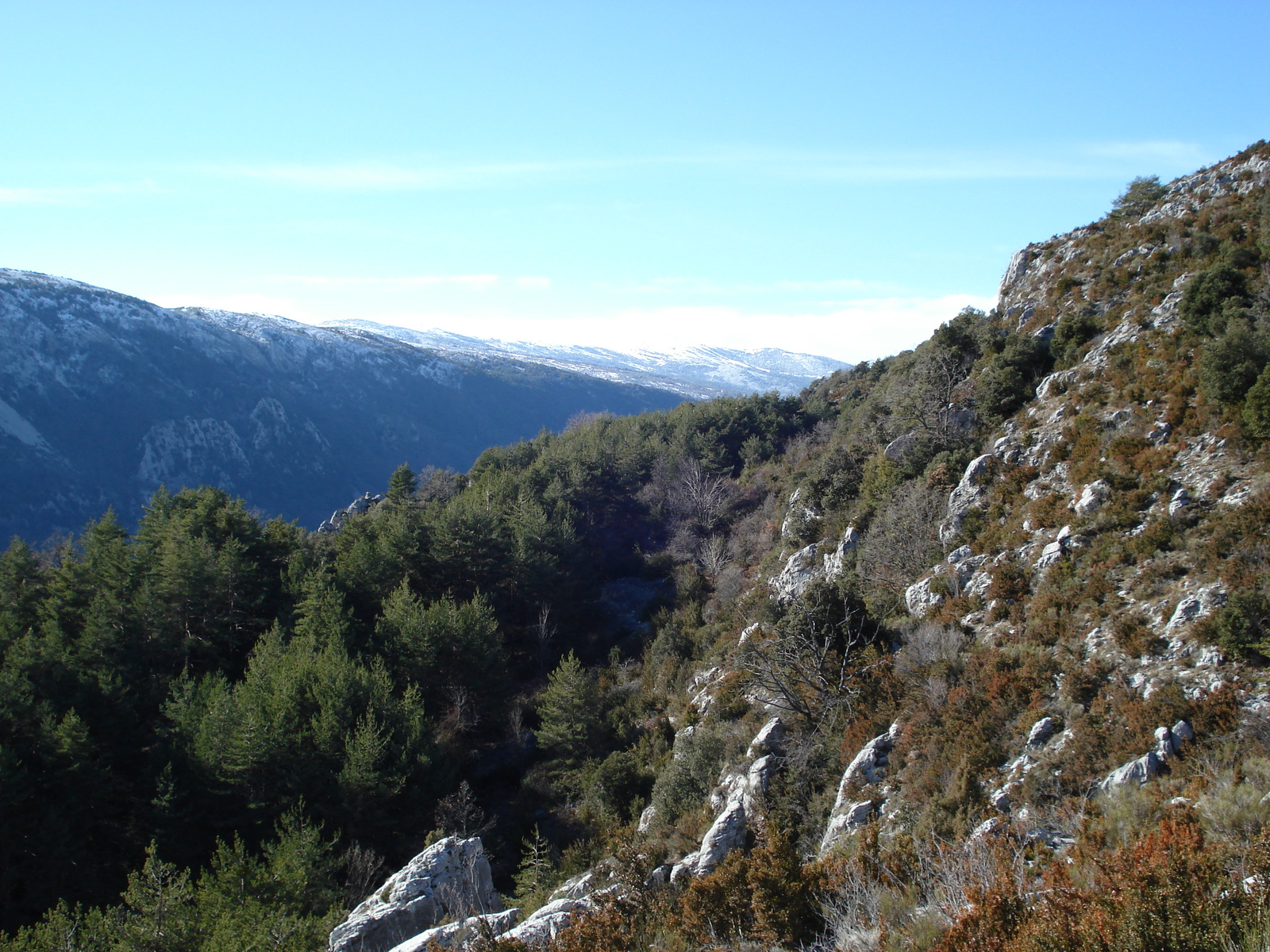 Picture France Coursegoule to Greolieres les neiges road 2007-01 37 - Sightseeing Coursegoule to Greolieres les neiges road