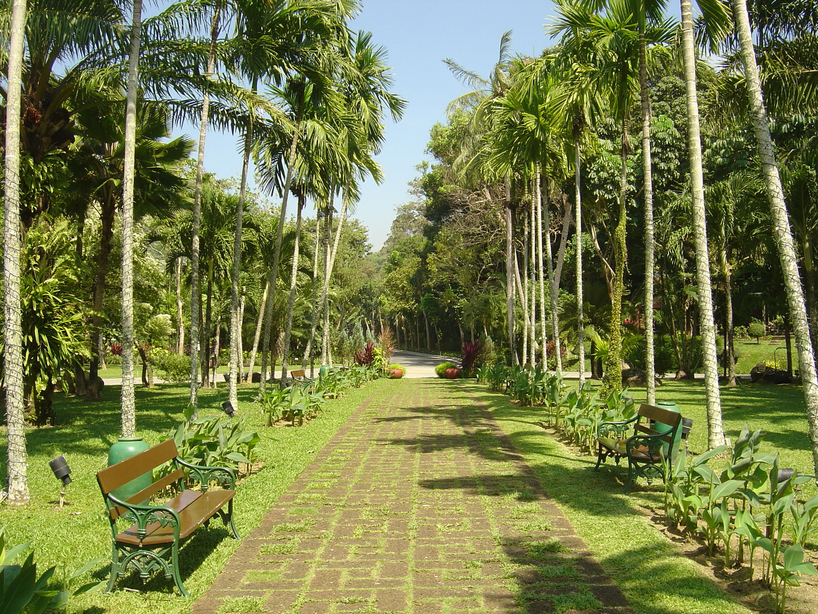 Picture Thailand Phuket Meridien Phuket Beach Hotel 2005-12 105 - Discover Meridien Phuket Beach Hotel