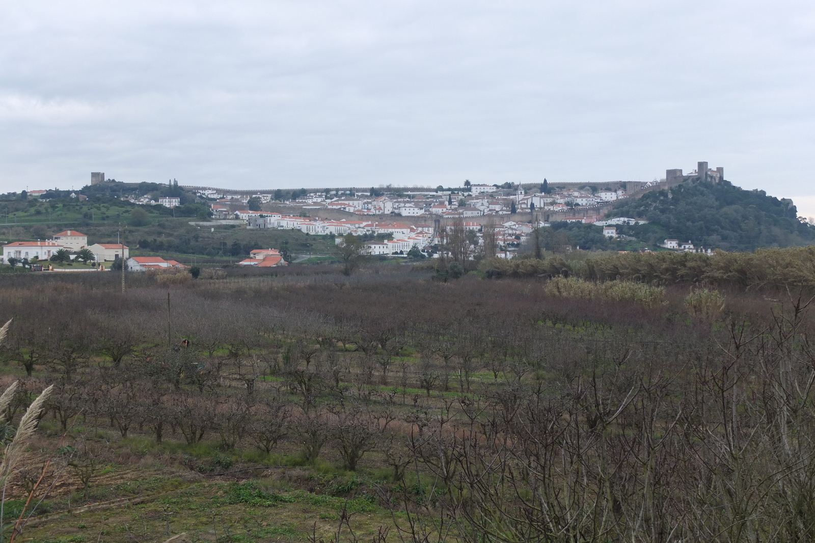 Picture Portugal Obidos 2013-01 56 - Sight Obidos