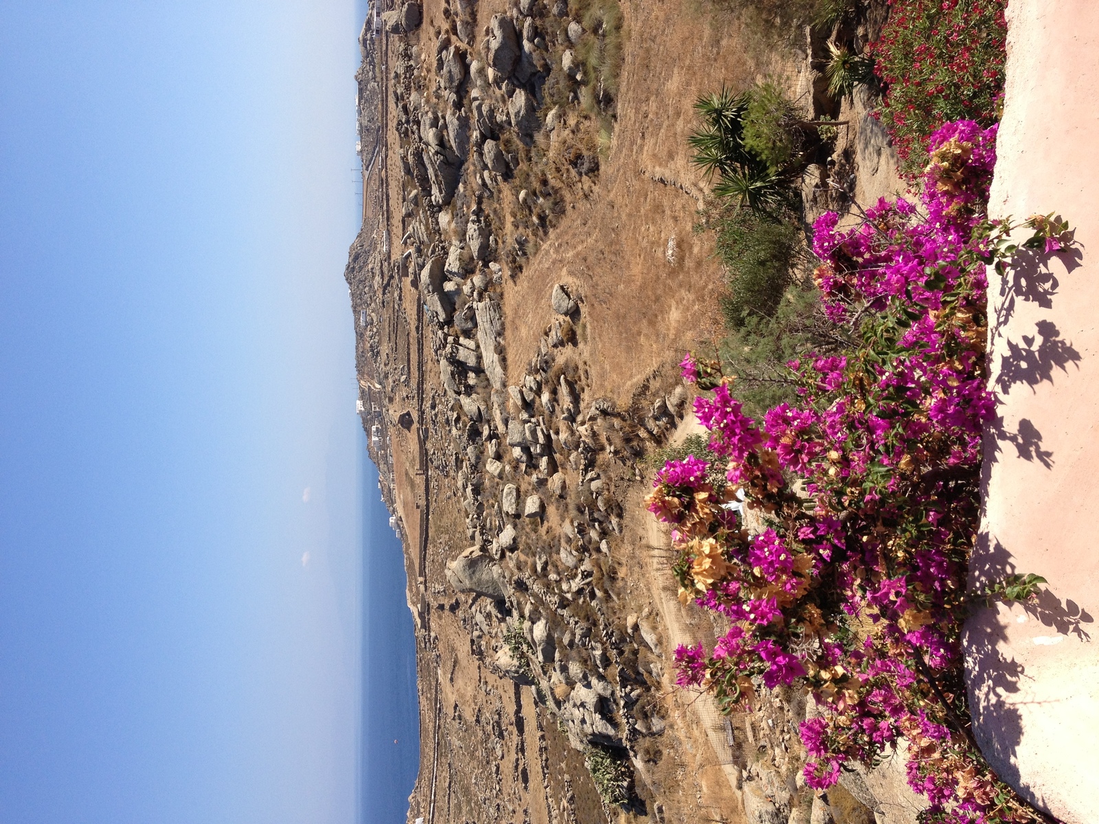 Picture Greece Mykonos 2014-07 67 - Travels Mykonos