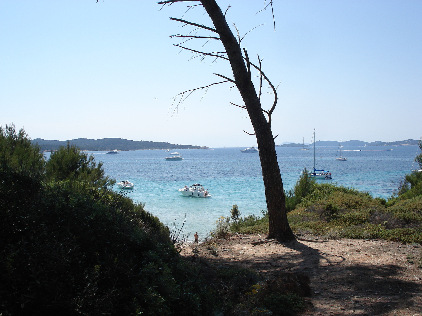 Picture France Porquerolles Island 2006-06 76 - Trail Porquerolles Island