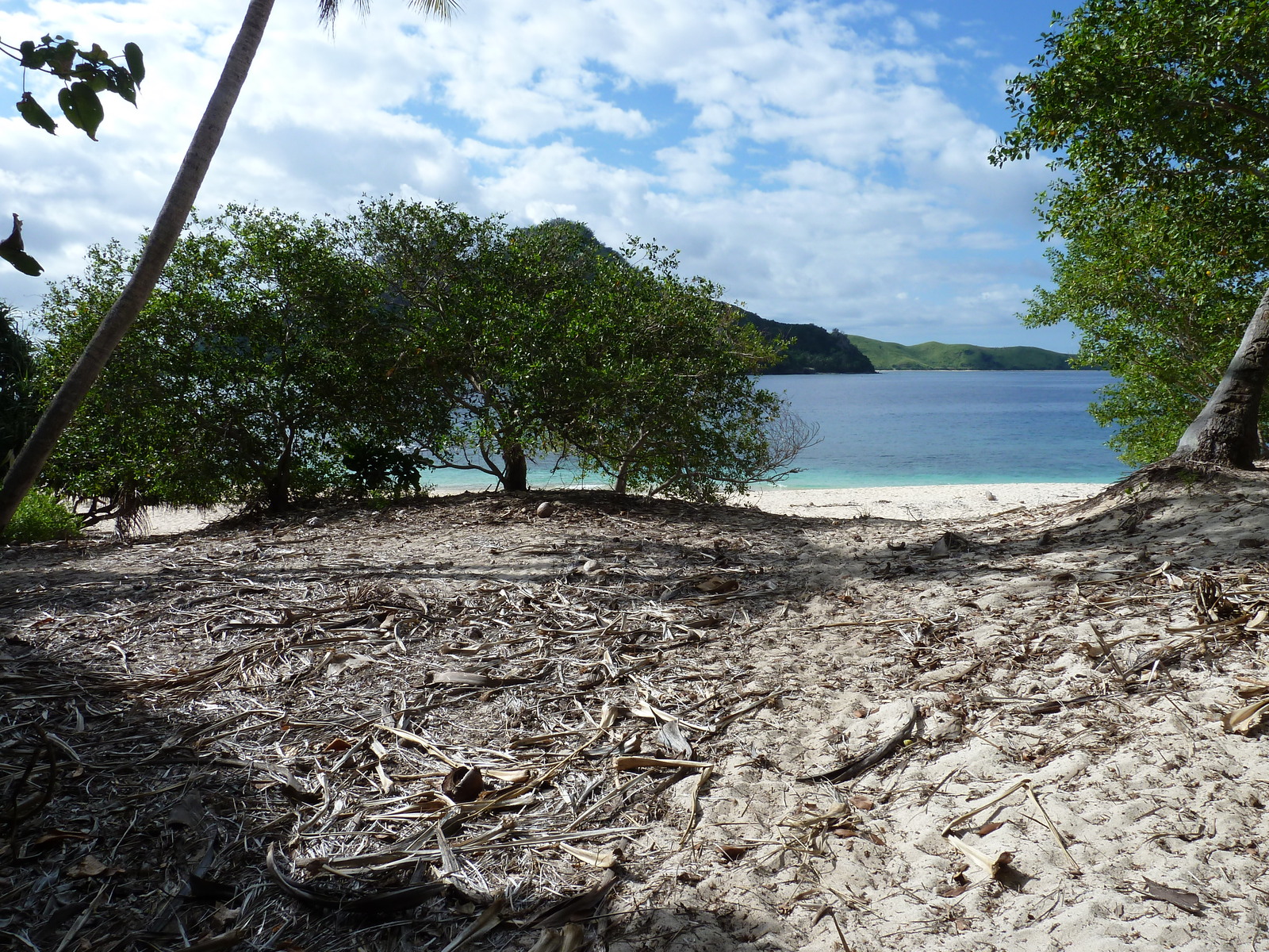 Picture Fiji Castaway Island 2010-05 186 - Visit Castaway Island